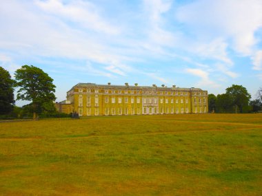 Ağaçları ve evi olan çimen parkı manzarası