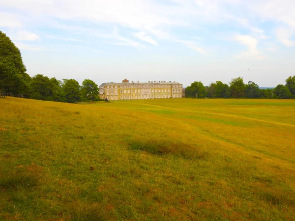 Ağaçları ve evi olan çimen parkı manzarası