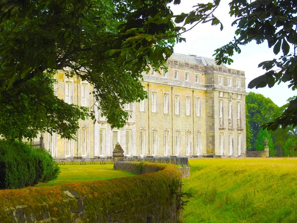 Ağaç dallarından ve parktaki evden oluşan eski bir duvar manzarası