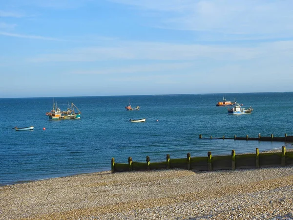 Denizde sahile yakın birkaç tekne var.
