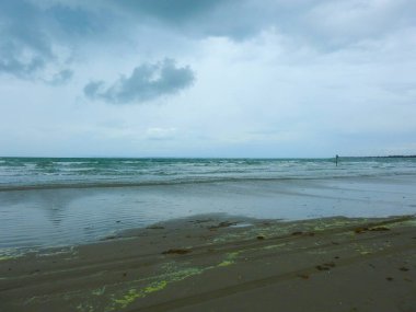 Bulutlu bir günde plaj ve deniz manzarası. Arabanın tekerlek izleri kumda.