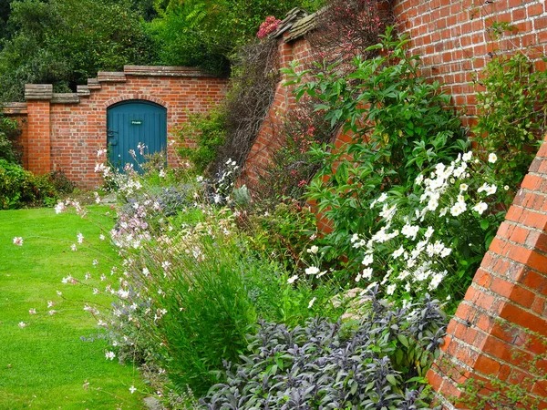 Fleurs Plantes Vieux Mur Briques — Photo