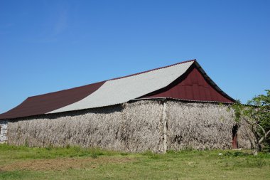 Tropikal tarım Binası