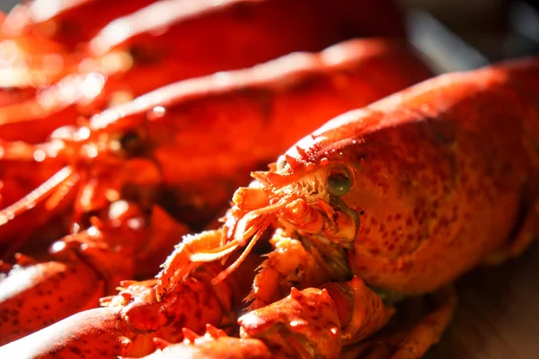 煮熟的红龙虾 — 图库照片