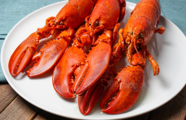 Cooked red Lobsters — Stock Photo, Image