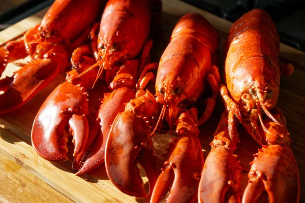 Cooked red Lobsters — Stock Photo, Image
