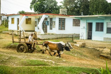 Valle de los Ingenios insanlar ve kağnı