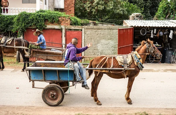 Kuba, trinidad pferdewagen — Stockfoto