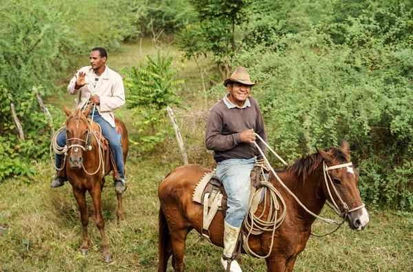 Cowboys cubani, Gaucho e i loro cavalli — Foto Stock