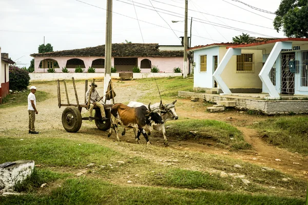 Valle de los ingenios людей і візок, запряжена волами — стокове фото