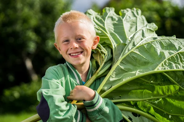 Petit garçon jouant avec la rhubarbe — Photo