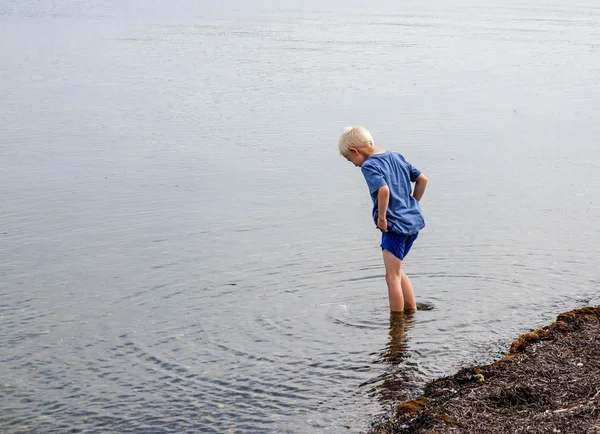 One little boy who are walking in the water — Stock Photo, Image