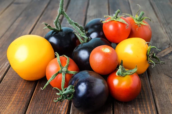 Tomates coloridos frescos — Fotografia de Stock