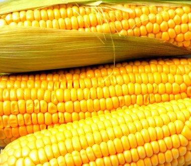 üzerinde sarı yaz lezzetli mısır
