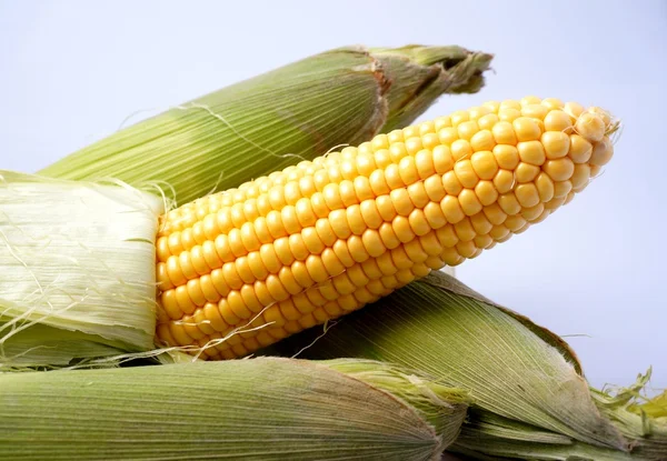 Delicious yellow summer corn on the cob — Stock Photo, Image