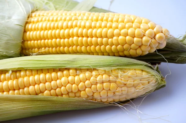 Delicious yellow summer corn on the cob — Stock Photo, Image