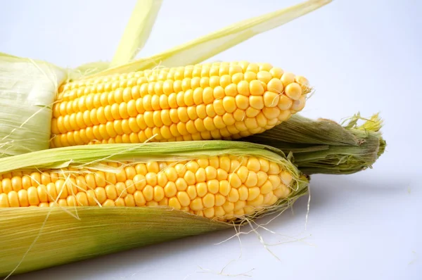 Finom sárga nyári kukorica a cob — Stock Fotó