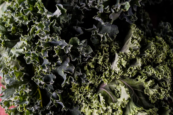 Organic raw kale — Stock Photo, Image