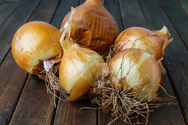 Lot of ripe onion — Stock Photo, Image