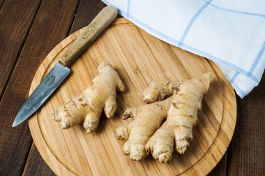 taze zencefil kökü