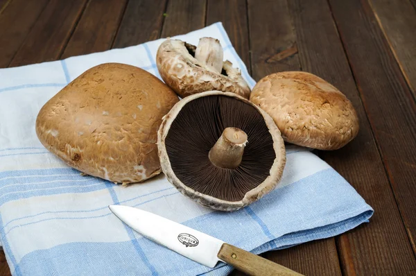 Färska portobello svamp — Stockfoto