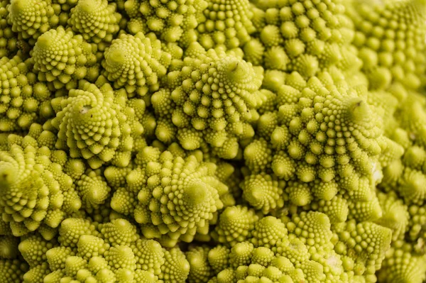 Romanesco brokolice — Stock fotografie