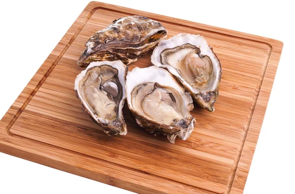 Gourmet fresh french oysters — Stock Photo, Image