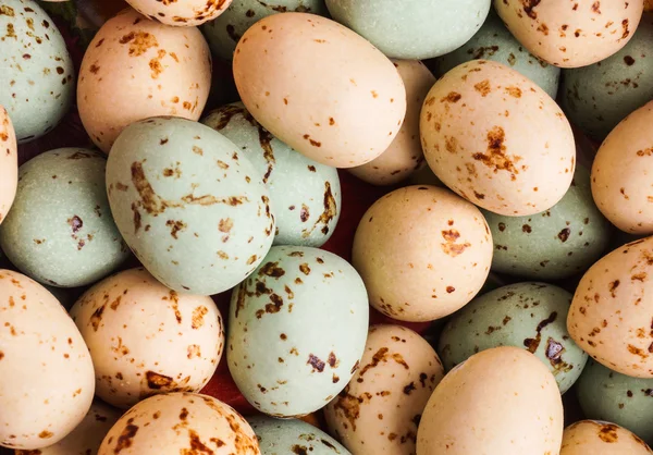 Huevo de Pascua de cerca — Foto de Stock