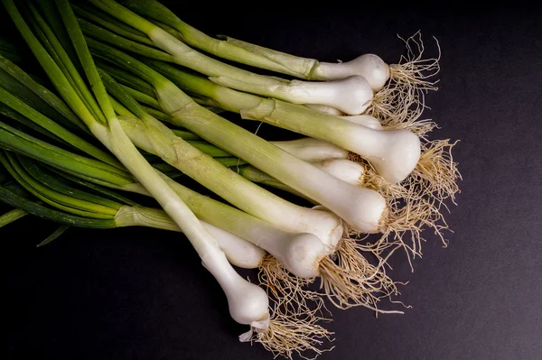 Fresh Organic spring onion — Stock Photo, Image