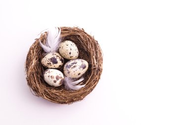 Bıldırcın yumurta yuva, Bahar ve Paskalya