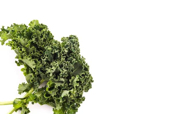 Organic Kale — Stock Photo, Image