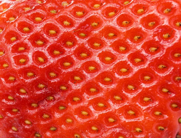 Strawberry — Stock Photo, Image