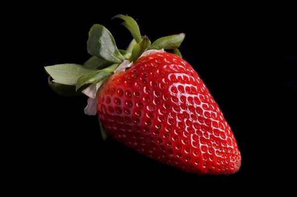 Strawberry — Stock Photo, Image