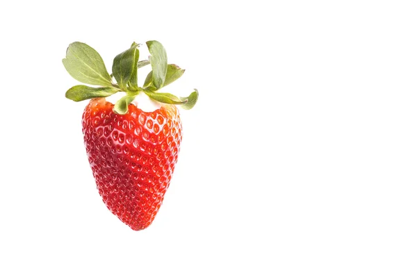 Strawberry — Stock Photo, Image