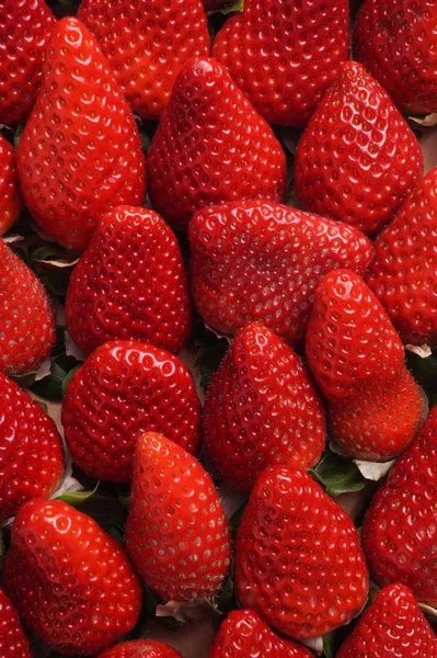 Ripe Red strawberry — Stock Photo, Image