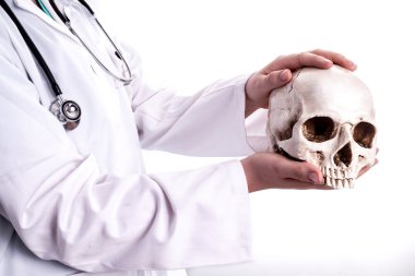 Bir kafatası onun elinde tutan doktor. 