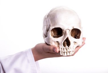 Bir kafatası onun elinde tutan doktor. 