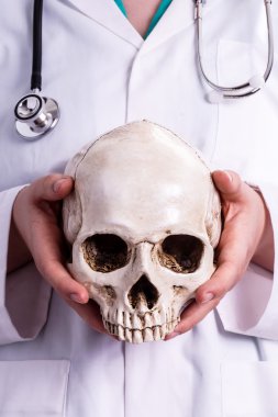 Bir kafatası onun elinde tutan doktor