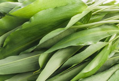 Bunch of Fresh Green Rams Onion or Ramsoms clipart