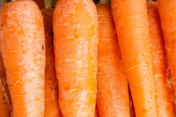 O grămadă de morcovi, aproape și macro — Fotografie, imagine de stoc