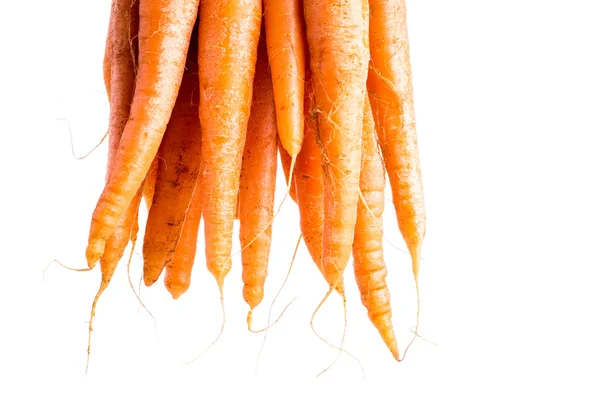 Група моркви з листям — стокове фото