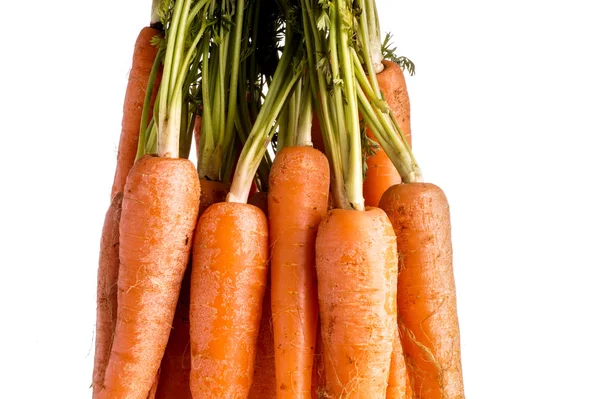 Ramo de zanahorias con hojas — Foto de Stock