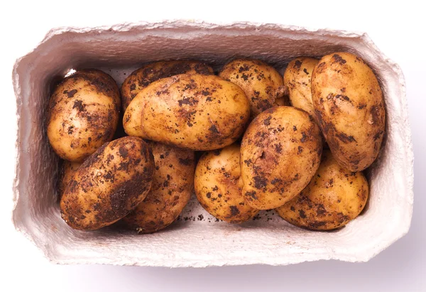 Batatas novas — Fotografia de Stock