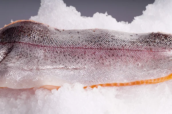 Fresh Trout side lying on ice — Stock Photo, Image