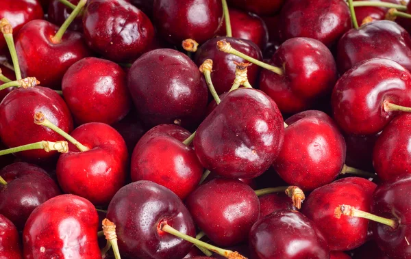 Red Cherry — Stock Photo, Image