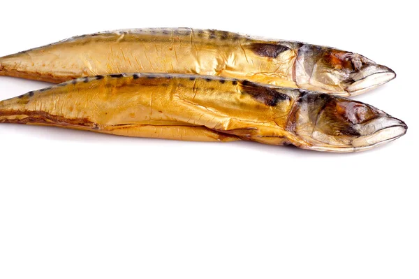 Nice smoked mackerel — Stock Photo, Image