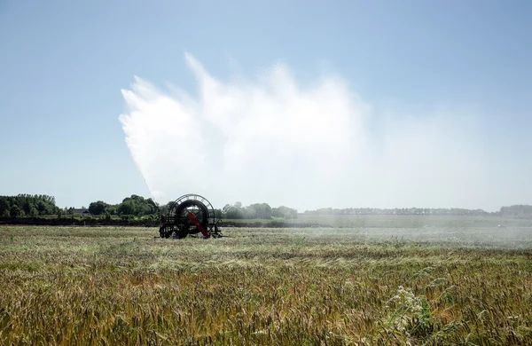 Arrosage des champs par pivot d'irrigation — Photo