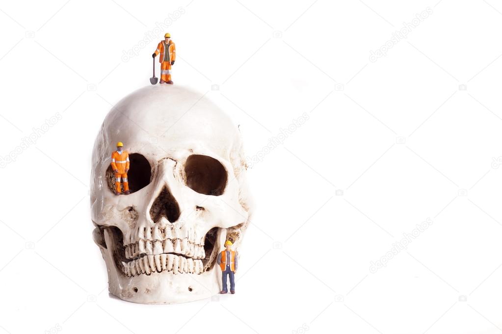 Skull and small workers