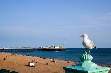 Brighton, Seaside clipart