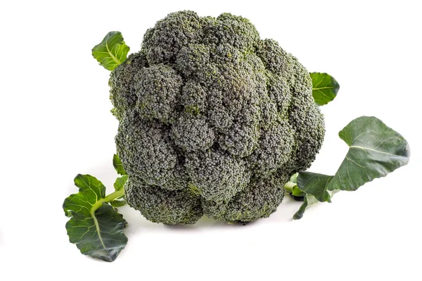 Cavoli broccoli biologici — Foto Stock